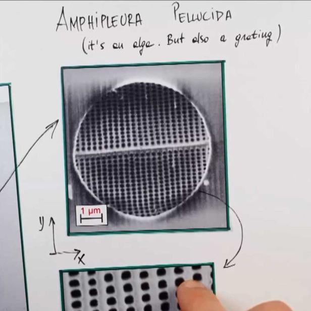 Doppelspalt-Experiment Algenskelett Physik Quantenphysik Universität Wien