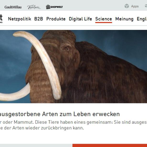 Der Hauptartikel der jeweiligen Channel erhält im neuen Layout noch mehr Gewicht