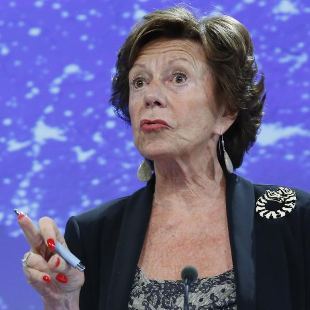 EU-Kommissarin der Digitalen Agenda Neelie Kroes