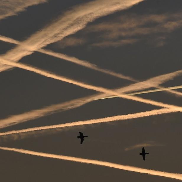 Dieses Bild dürfte Chemtrails-Verschwörungstheoretiker reizen. Aufgenommen in London. (25.11.2014)