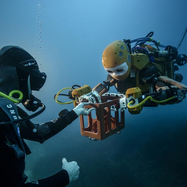 Der humanoide Unterwasser-Roboter OceanOne