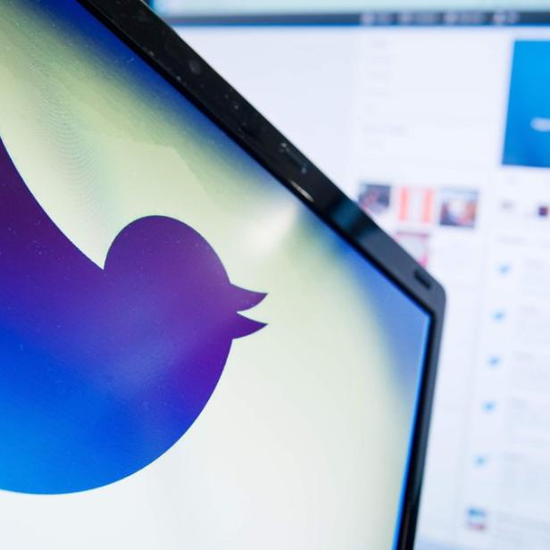 Das Twitter-Logo wird auf einem Computerbildschirm angezeigt.