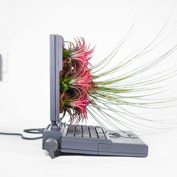 Plant your Mac ist ein Projekt von Christophe Guinet/Monsieur Plant