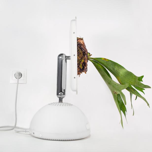 Plant your Mac ist ein Projekt von Christophe Guinet/Monsieur Plant