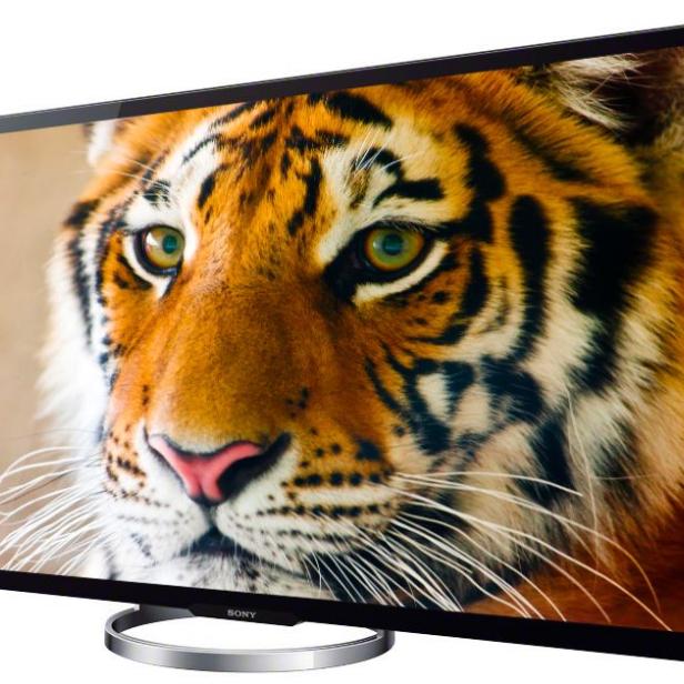 Ein Fernseher der Marke Sony zeigt ein Tigergesicht auf dem Bildschirm.