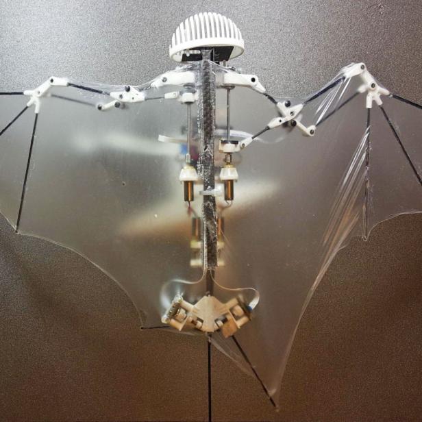 Bat-Bot