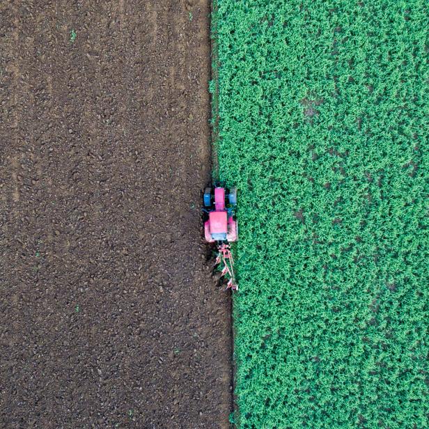 Big Data könnte in der Landwirtschaft für mehr Effizienz sorgen