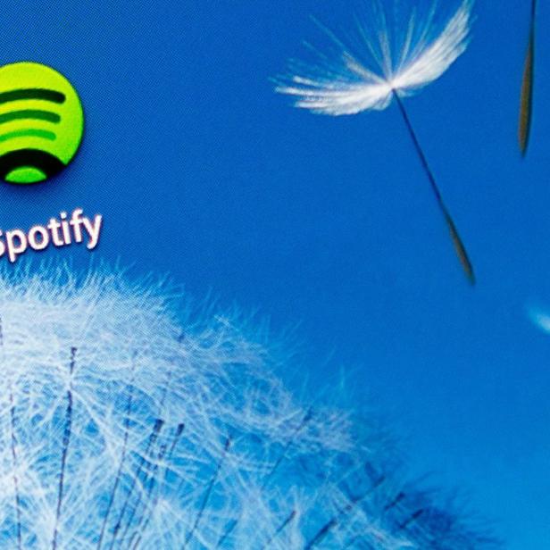 Das Spotify-Symbol auf einem blauen Bildschirm mit einer Pusteblume.