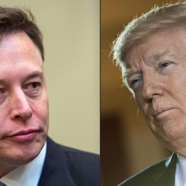 Musk &amp; Trump