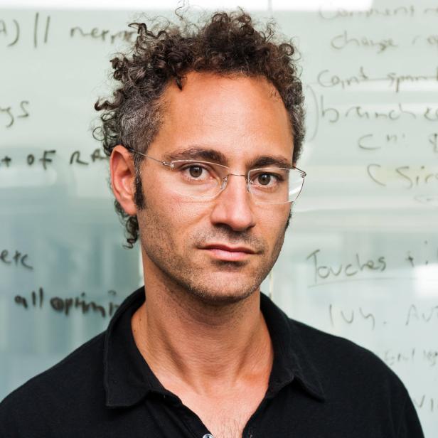 Alexander Karp, Palantir-CEO