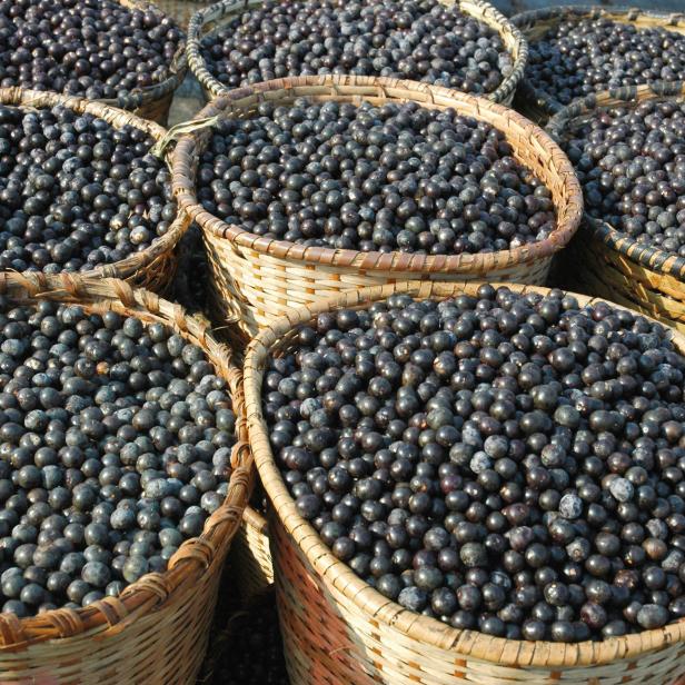 Acai-Beeren gelten als Superfood