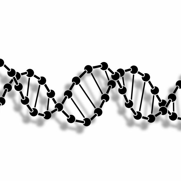 Eine stilisierte Darstellung der Doppelhelixstruktur der DNA.