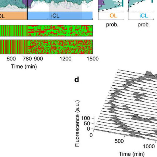 Diagramme zeigen zelluläre Oszillationen und Frequenzanalyse, darunter ein Smiley-Muster.