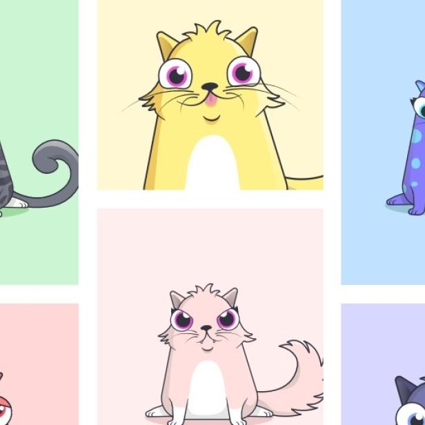 CryptoKitties ist der neue heiße Trend in der Ethereum-Blockchain