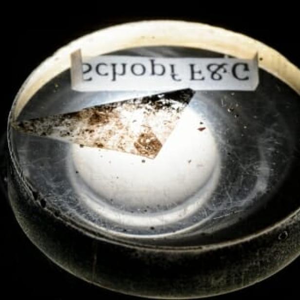 Ein Objektträger mit einer Probe und einem Etikett unter einem Mikroskop.