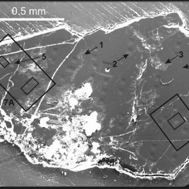 Eine rasterelektronenmikroskopische Aufnahme eines Mineralkorns mit Markierungen und Maßstabsangabe.