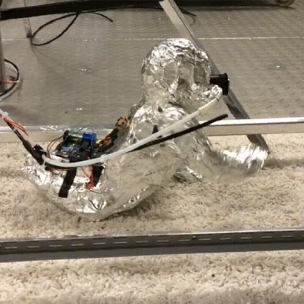 Ein mit Alufolie umwickeltes Objekt mit elektronischen Bauteilen auf einem Teppich.