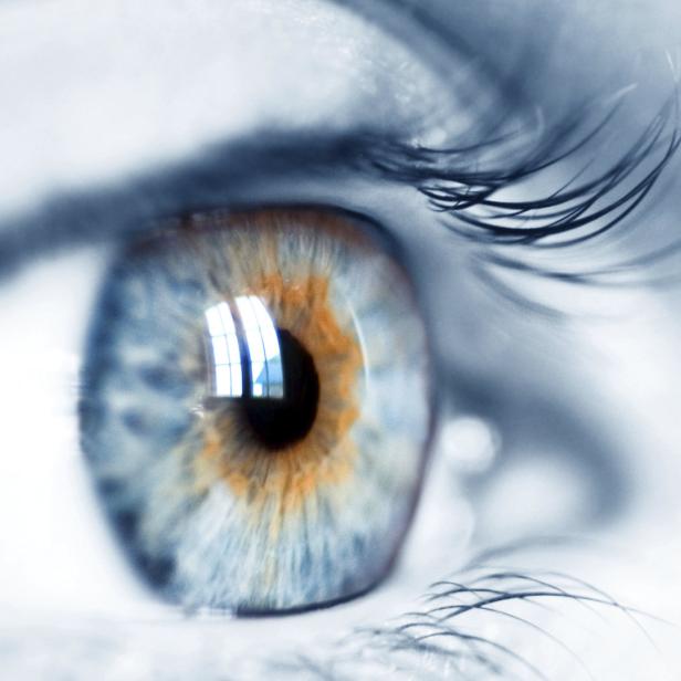 Nahaufnahme eines menschlichen Auges mit blauer Iris und langen Wimpern.