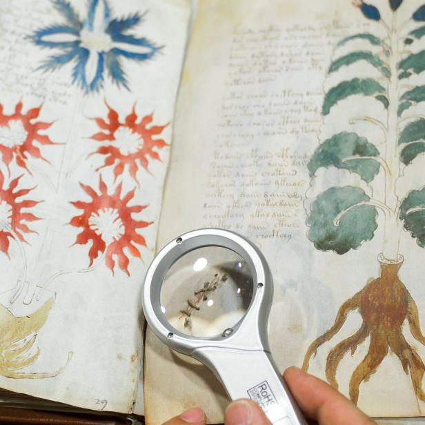 Eine Person betrachtet mit einer Lupe Illustrationen in einem alten Buch.