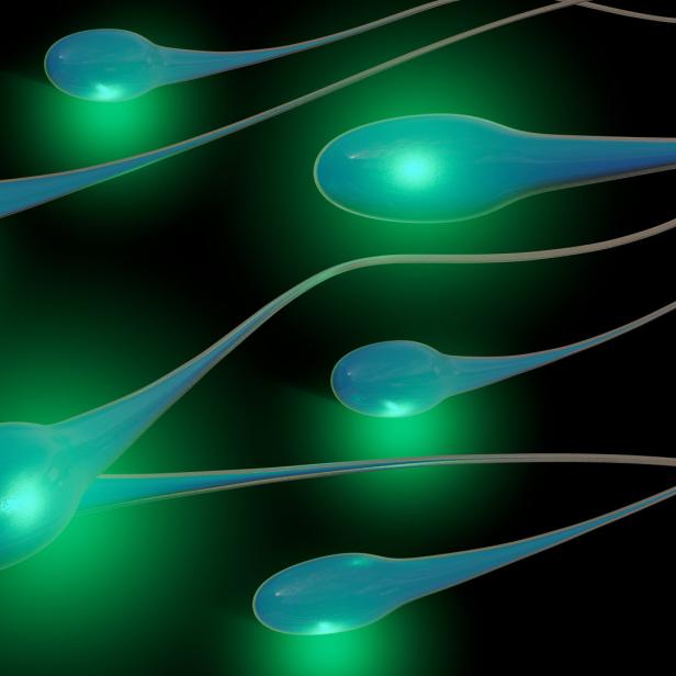 Mehrere blaugrüne Spermien vor einem schwarzen Hintergrund.