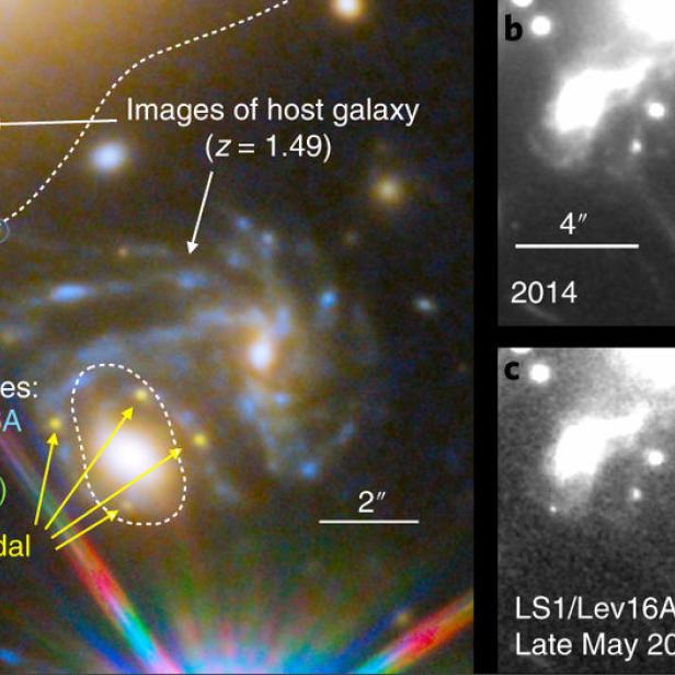 Das Bild zeigt stellare Bilder und die Wirtsgalaxie mit der Bezeichnung SN Refsdal.