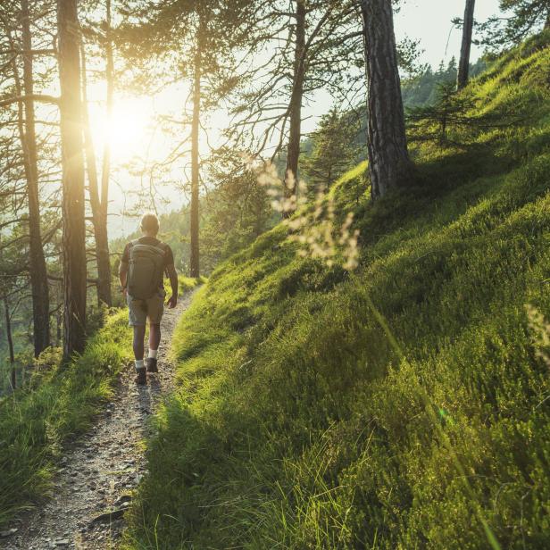 Senior man trail hiking in the forest at sunset