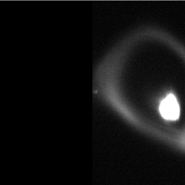 Wolke aus Rubidiumatomen.