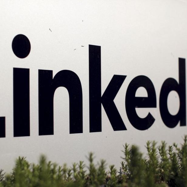 Das Logo von LinkedIn vor einem grünen Busch.