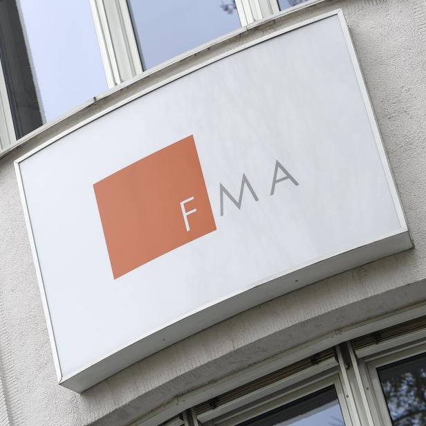 Die FMA kann &quot;durch eine fachkundige Aufsichtsperson (Regierungskommissär) bestellen