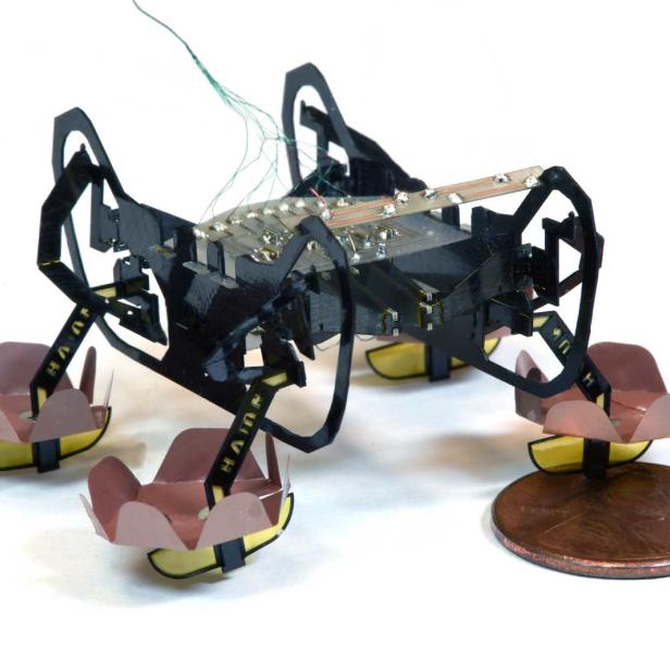 Ein kleiner, vierbeiniger Roboter steht neben einer US-amerikanischen Penny-Münze.