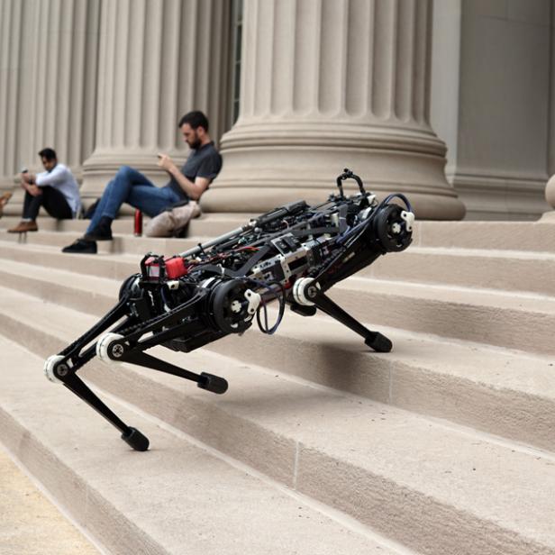 Ein vierbeiniger Roboter steigt eine Steintreppe vor einem Gebäude mit Säulen hinauf.