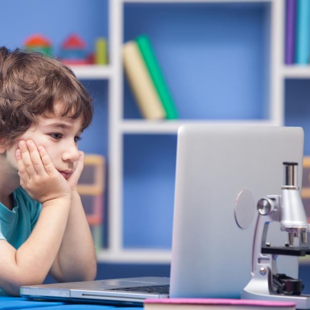 Little Boy Using Notebook Computer In His Room