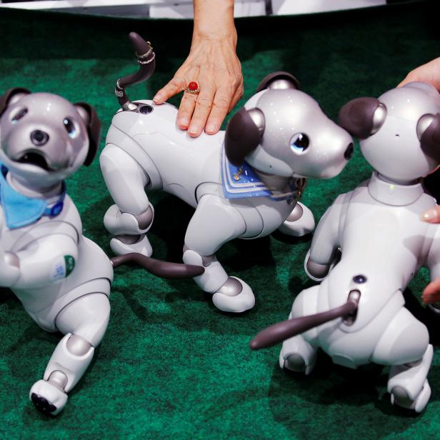 Owners pet their AIBO robot dogs at Sony Corp's entertainment robot AIBO's fan meeting in Tokyo