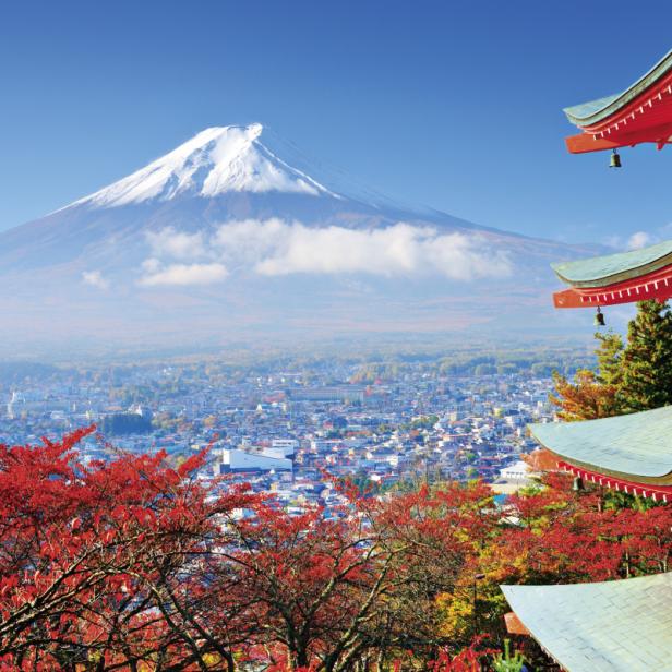 Platz 9: Japan