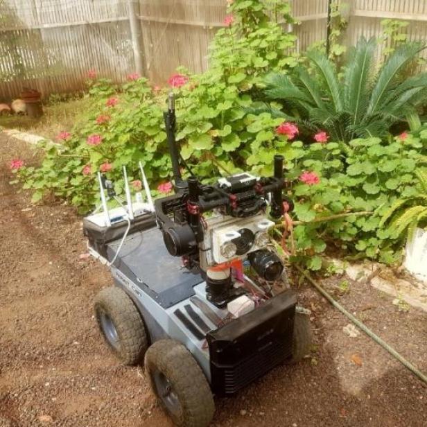 Ein grauer Roboter mit Kameras und Antennen steht im Garten.