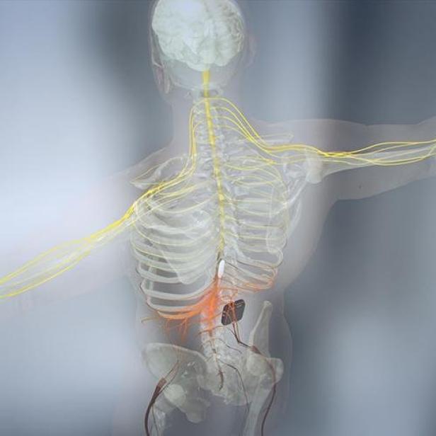 Eine schematische Darstellung des menschlichen Nervensystems und des Skeletts.