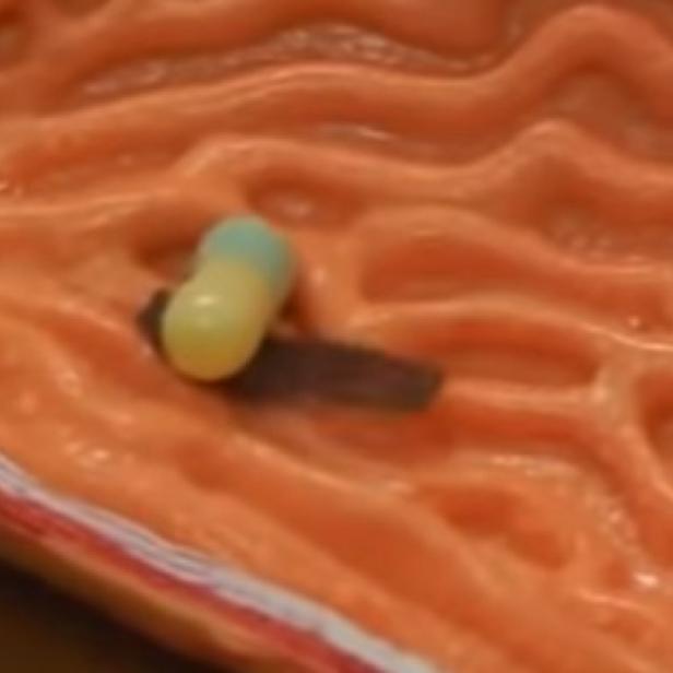 Eine gelb-blaue Kapsel liegt auf einer orangefarbenen, gewundenen Oberfläche.