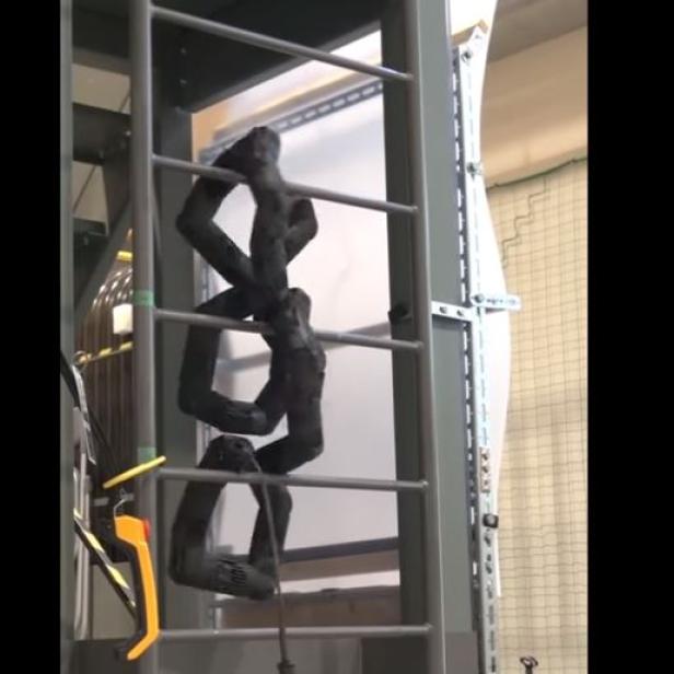 Eine dicke, isolierte Leitung ist an einer metallenen Leiter befestigt.