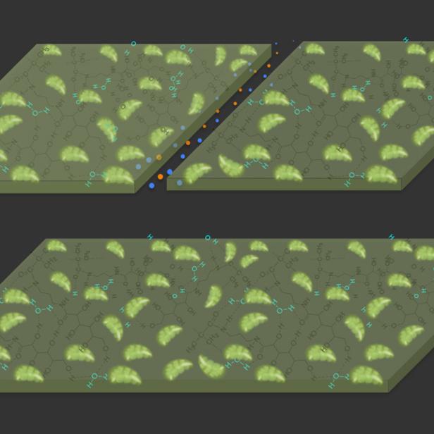 Eine schematische Darstellung von Molekülen auf einer Oberfläche.