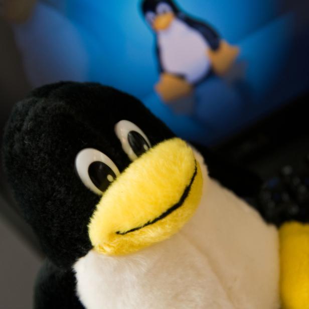 Das Linux-Maskottchen ist ein Pinguin