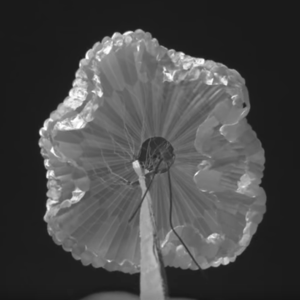 Ein Fallschirm öffnet sich vor einem dunklen Hintergrund.