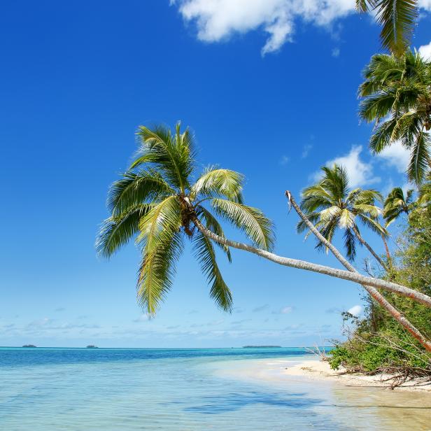 Shore of Makaha'a island near Tongatapu island in Tonga