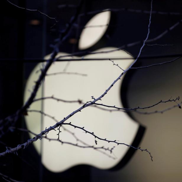 FILE PHOTO: An Apple company logo is seen behind tree branches outside an Apple store in Beijing