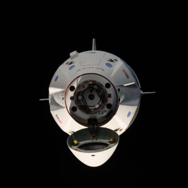 Eine Dragon-Raumkapsel von SpaceX im Weltraum mit geöffneter Luke.
