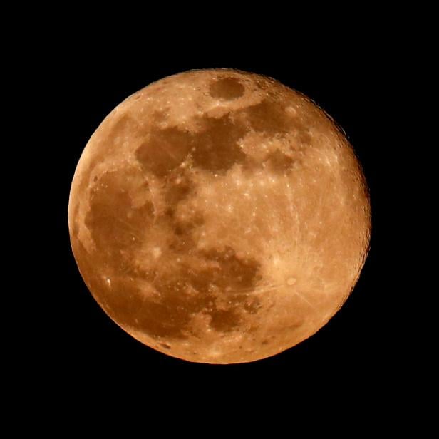 The "Worm moon", the last Supermoon sighting of 2019 is pictured in Vockerode