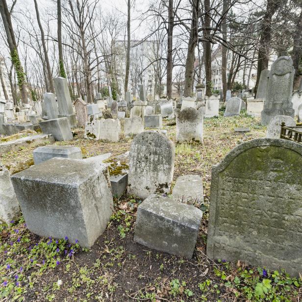 Begehung des jüdischen Friedhofes in Währing