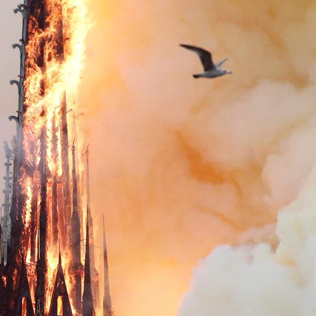 Fire at Notre Dame Cathedral in Paris