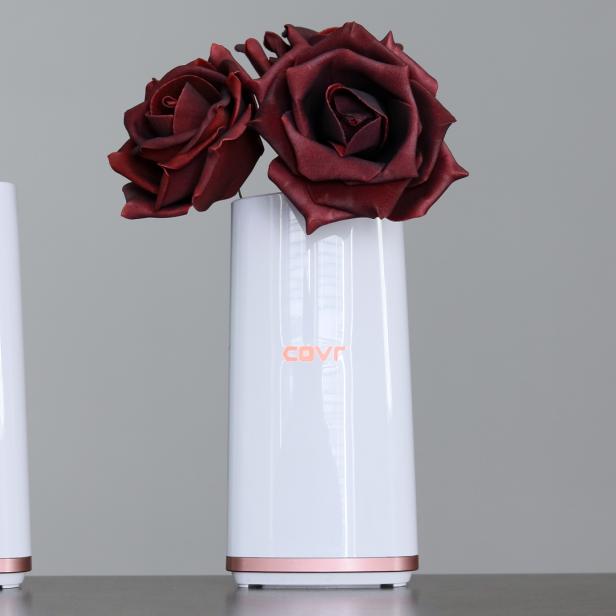 D-Link COVR-2202: Die Blumen sind nicht im Lieferumfang enthalten