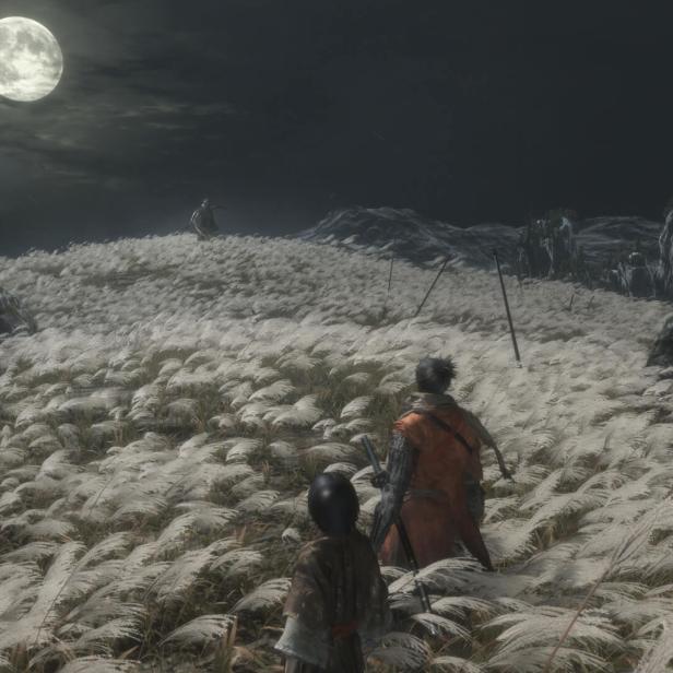 Elden Ring wird von FromSoftware gemacht, das ua. hinter dem Game Sekiro steckt