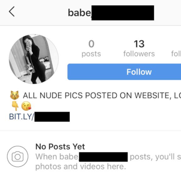 So sehen Profile von Porno-Spambots aus